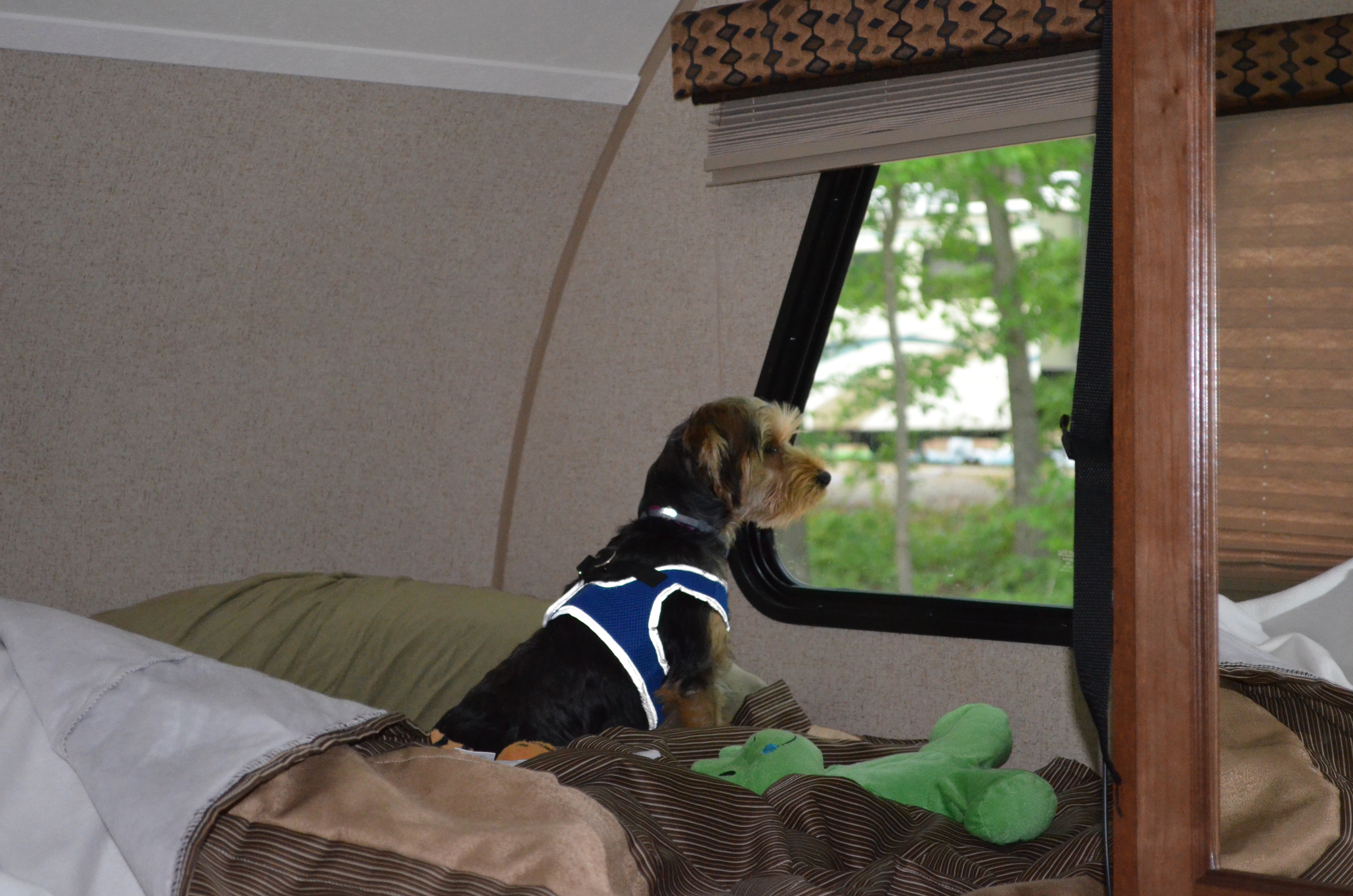 ./2016/09 - Kerr Lake/EDSC_0004.JPG